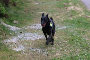 2018 Ausbildungswoche Arber